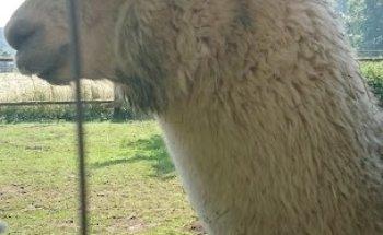 Therapiezentrum Hof Feuler - Pflegeverein für behinderte Menschen e.V.