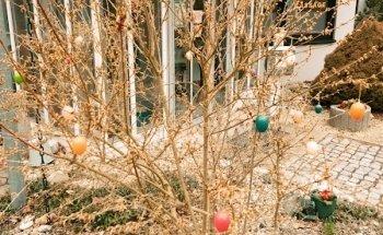 Somaphys-Nature Praxis für Physiotherapie und Alternativmedizin