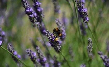 Ergotherapiepraxis Pamela Freytag