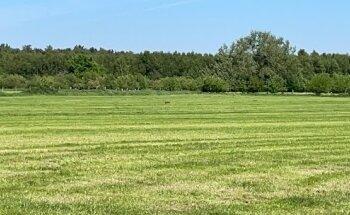 Militair Domein Houthalen-Helchteren-Helchteren