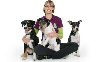 Hundephysio Ibbenbüren