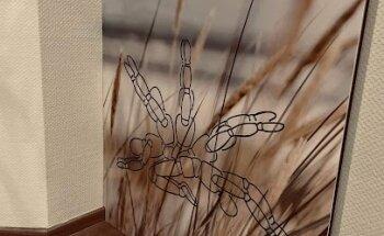 Therapeutisches Zentrum Idar-Oberstein