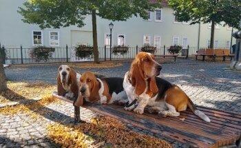 Praxis für Ergotherapie Marcus Werner