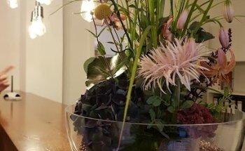 Physiotherapie Sven Albrecht