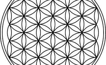 Konzepte für seelisches und körperliches Wohlbefinden