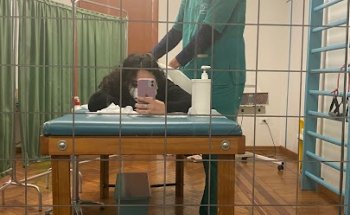 Fkt Fisioterapia E Riabilitazione S.R.L.