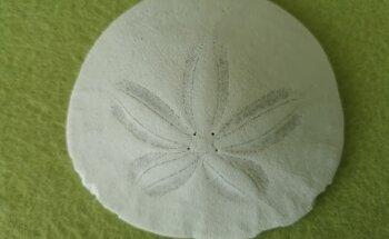 Privatpraxis für Physiotherapie und Ortho-Bionomy® Christine Wolfinger