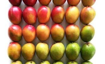 TherapieZentrum Kranenburg - Bewegen und Sprechen