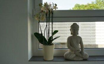 Praxis für Podologie und Physiotherapie Bärbel Bleß-Lenz