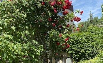 astorgano und mai - Zentrum für Ganzheitliche Physiotherapie