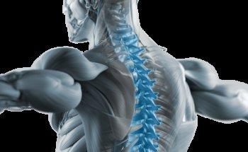 MedAthlon Physiotherapie in Kornwestheim