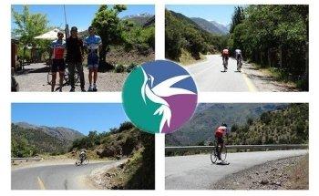 Kinesiología Koliber