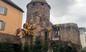 Pabst-Therapie - Daniela Pabst