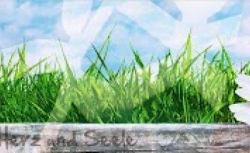 Therapiezentrum Mäder