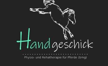 Handgeschick - Physio- und Rehatherapie für Pferde (bmg)
