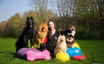 Step by Step Tierphysiotherapie