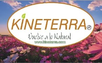 KINETERRA SPA