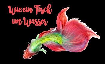 Praxis für Ergotherapie & Osteopathische Behandlung Anja Müller-Bouß - Wie ein Fisch im Wasser