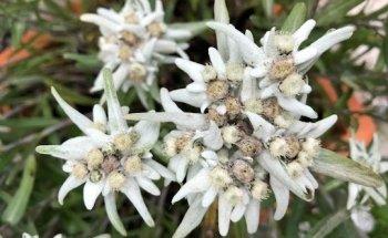 Physiobalance Marion Linder