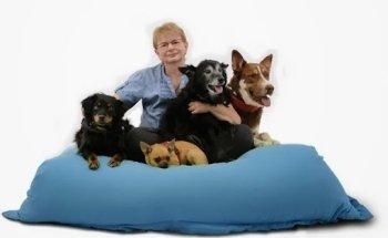 Hunde - Krankengymnastik Birgit Fischer