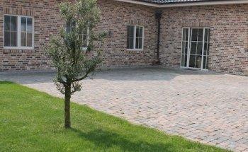 Gesellschaft für Kinderosteopathie