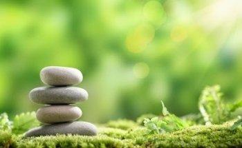 Plénitude Suisse - Serge Romy