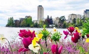 Biotonus Clinique Bon Port