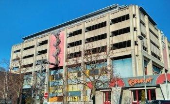 Sandra Klingelhöfer