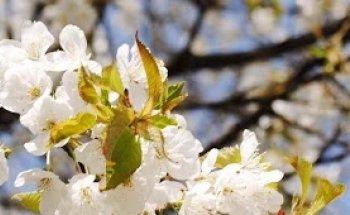 Praxis für Physiotherapie Christa Sennebogen