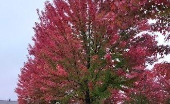 Reich Beate Praxis für Krankengymnastik Rupp