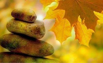 Cornelia Meißner-Schulze Krankengymnastik