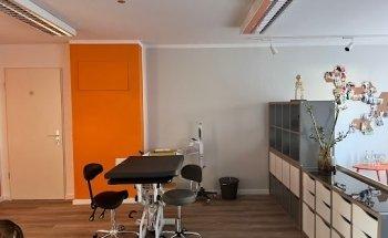 physio-TIER-apie Mobile Tierphysiotherapie Alice Liebau