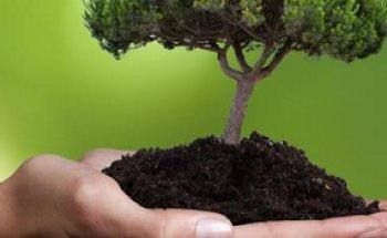 Praxis für Osteopathie, Physiotheraphie & Wellness Heike Fuhrmeister - Wernicke