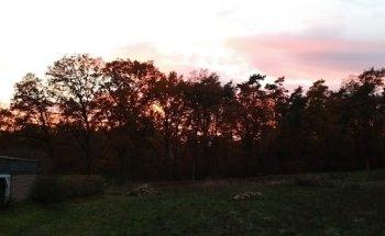 Physiopraxis Axel Wrede