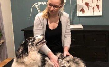 Tierphysiotherapie Wencke Eymers