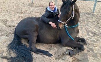 Pferdetherapie Gesa Bussenius