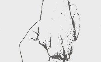 Praxis für Hundepysiotherapie auf Gut Speith