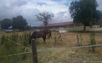 Physiotherapie Schellenberg