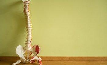 Physiotherapie Sybille Wenzel