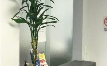 Wellness Therapy & Medical Care Center