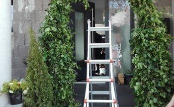 Physio Animale -Christine Auer