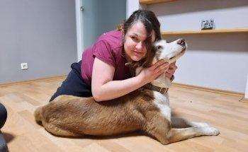 Lauf los! Hundephysiotherapie & -osteopathie