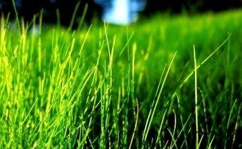 Massage und Fußpflege Spenst