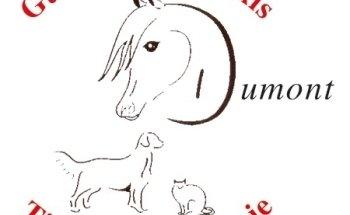 Gütersloher Praxis für Tierphysiotherapie Elke Dumont