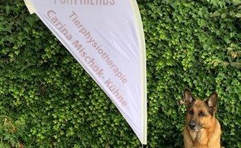 Hands For Friends Tierphysiotherapie