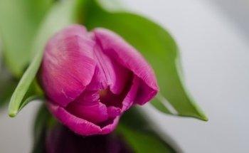 Physiotherapie Hornung