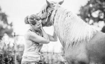 Denise Schäfer Osteopathie und Physiotherapie für Pferde