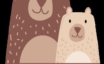 Bärenstark Osteopathie Physiotherapie