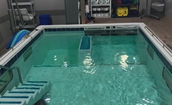 Synergy Therapies - Independence