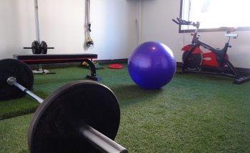 In motion kinesiologia